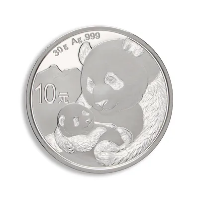 2019 Chinese Silver Panda - 30 g — Silver bullion from Standard Bullion