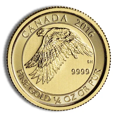 2016 1/4 oz Canadian Snow Falcon Gold Coin — Gold bullion from Standard Bullion