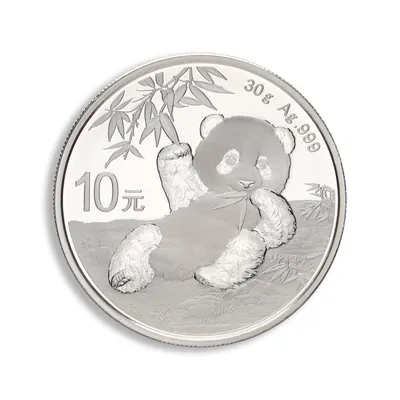 2020 Chinese Silver Panda - 30 g — Silver bullion from Standard Bullion