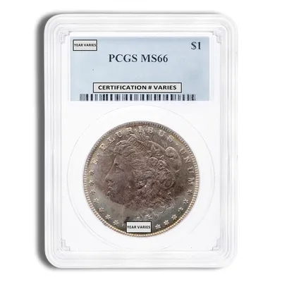 Pre-1921 Morgan Dollar - PCGS MS66 (Toned) — Silver bullion from Standard Bullion