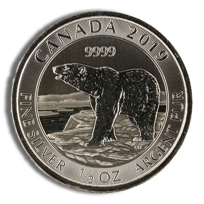 2019 1/2 oz Canadian Polar Bear Silver Coin — Silver bullion from Standard Bullion