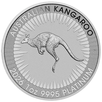 2026 Platinum Kangaroo - 1 oz — Platinum bullion from Standard Bullion