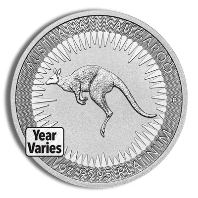 Platinum Kangaroo - 1 oz (Year Varies) — Platinum bullion from Standard Bullion