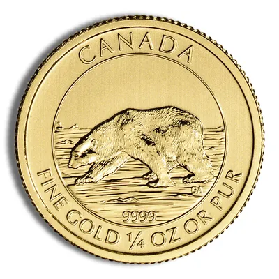 2013 1/4 oz Canadian Polar Bear Gold Coin — Gold bullion from Standard Bullion