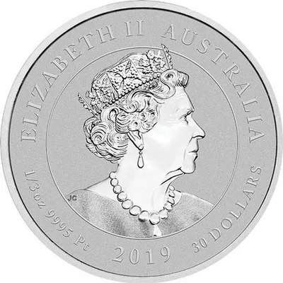 2019 1/3 oz Australian Bottlenose Dolphin Platinum Coin — Platinum bullion from Standard Bullion