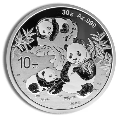 2025 Chinese Silver Panda - 30 g — Silver bullion from Standard Bullion
