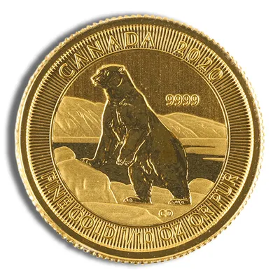 1/10 oz Canadian Polar Bear Gold Coin (Year Varies) — Gold bullion from Standard Bullion