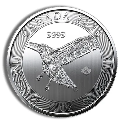 1/2 oz Canadian Red Tail Hawk Silver Coin (Year Varies) — Silver bullion from Standard Bullion