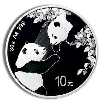 2023 Chinese Silver Panda - 30 g — Silver bullion from Standard Bullion