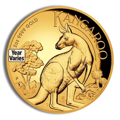 2 oz Australian Kangaroo/Nugget Gold Coin (Year Varies) — Gold bullion from Standard Bullion
