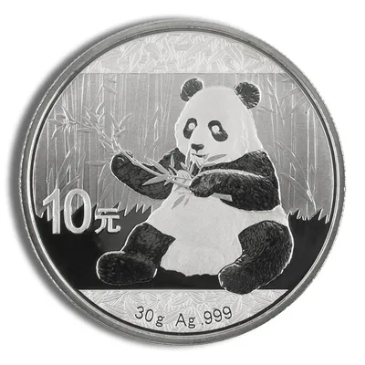 2017 Chinese Silver Panda - 30 g — Silver bullion from Standard Bullion