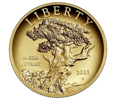 2023-W American Liberty High Relief Gold Coin (w/Box & COA) — Gold bullion from Standard Bullion