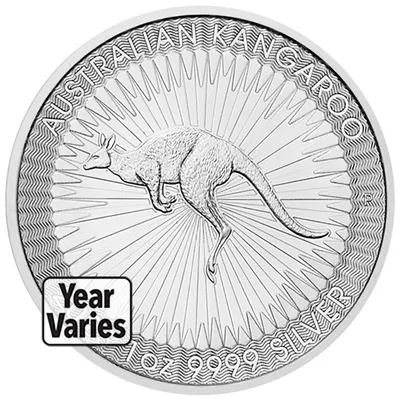1 oz Australian Kangaroo Silver Coin (Year Varies) — Silver bullion from Standard Bullion