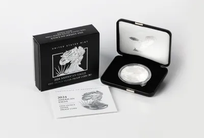 2024-W Proof Silver Eagle with Box & COA — Silver bullion from Standard Bullion