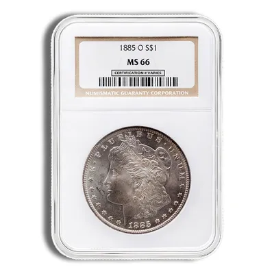 Pre-1921 Morgan Dollar - NGC MS66 (Toned) — Silver bullion from Standard Bullion