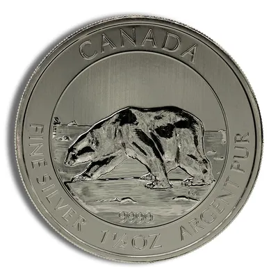 2013 1.5 oz Canadian Polar Bear Silver Coin — Silver bullion from Standard Bullion