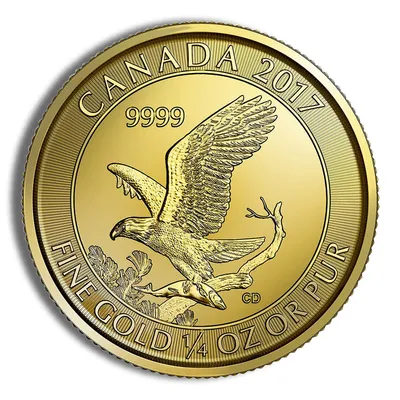 2017 1/4 oz Canadian Bald Eagle Gold Coin — Gold bullion from Standard Bullion