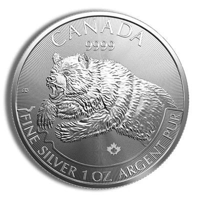 2019 1 oz Canadian Predator Series Grizzly Bear Silver Coin — Silver bullion from Standard Bullion