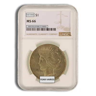Peace Dollar - NGC MS66 (Toned) — Silver bullion from Standard Bullion