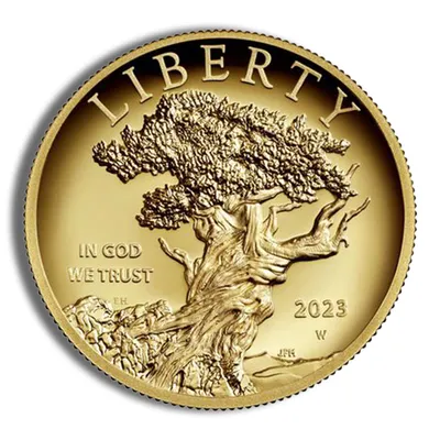 2023-W American Liberty High Relief Gold Coin (w/Box & COA) — Gold bullion from Standard Bullion