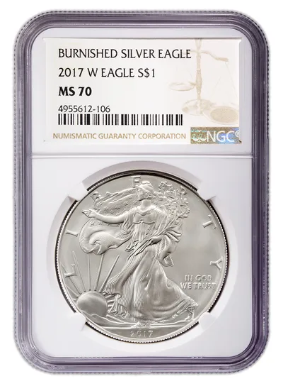 2017-W Burnished Silver Eagle NGC MS70 — Silver bullion from Standard Bullion