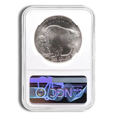 2001-D <body> Silver Buffalo Commem - NGC MS70 — reverse view