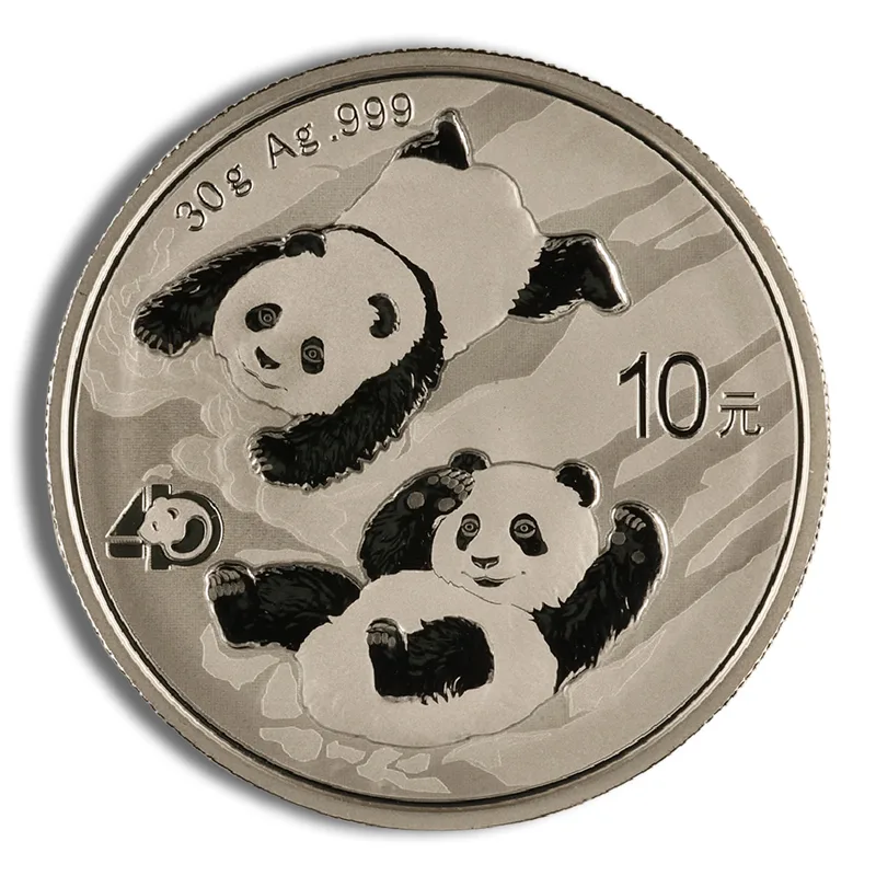 2022 Chinese Silver Panda - 30 g — Silver bullion from Standard Bullion
