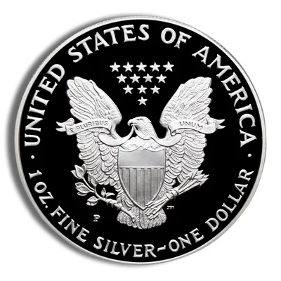 2001-W Proof Silver Eagle with Box & COA — packaging view