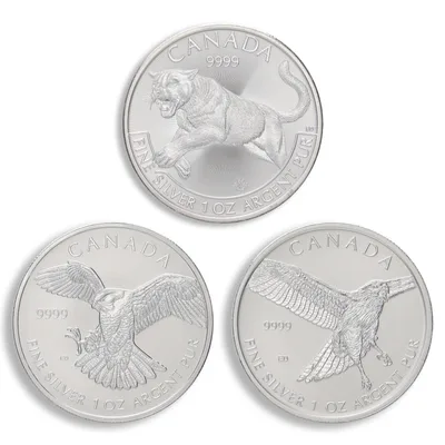 2010 1/2 oz Australia Silver Lunar Tiger BU - Series II — reverse view