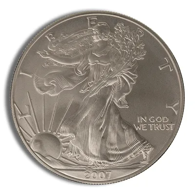 2007-W Burnished Silver Eagle with Box & COA — reverse view