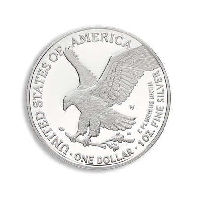 2024-W Proof Silver Eagle with Box & COA — packaging view