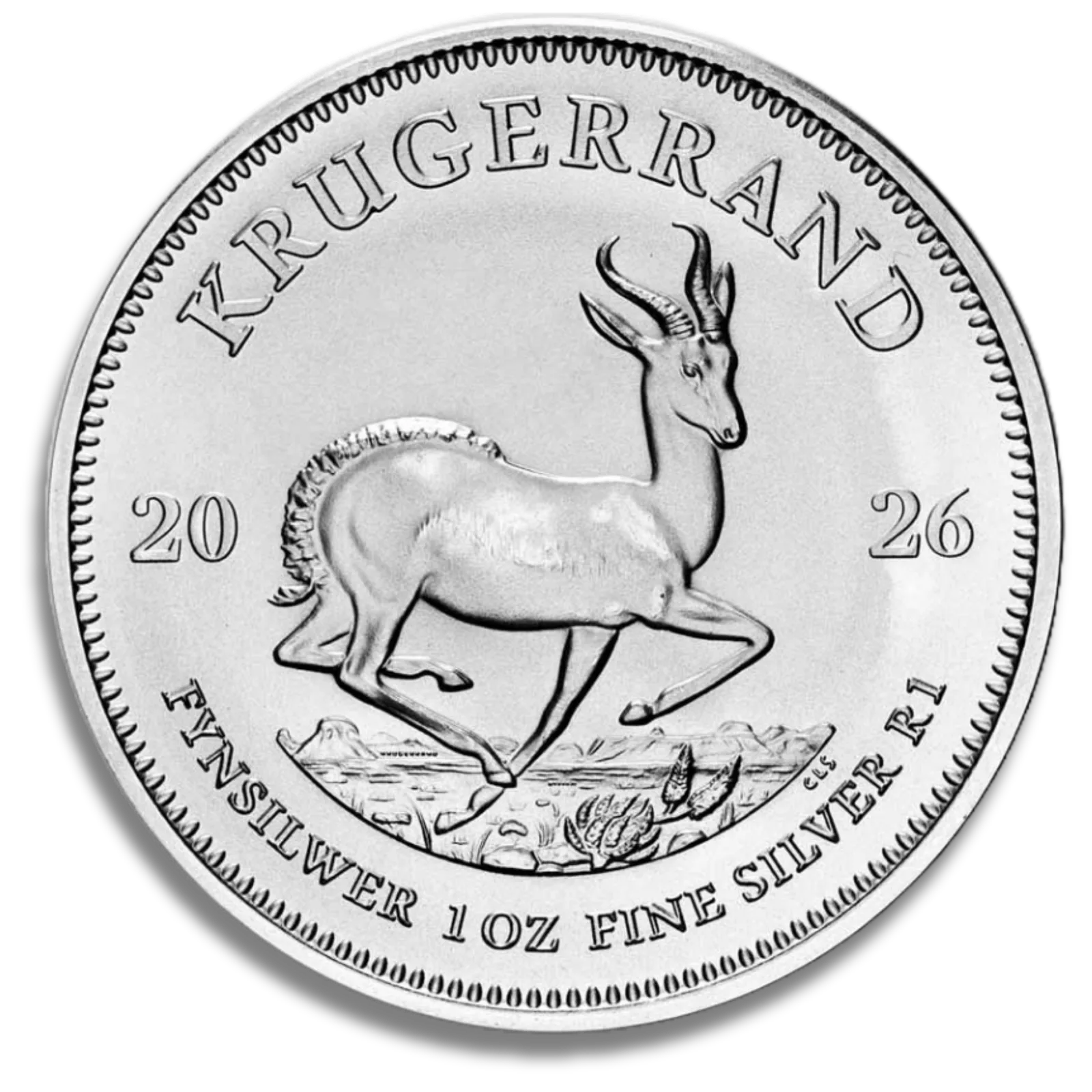 2026 1 oz Silver Krugerrand - BU — Silver bullion from Standard Bullion