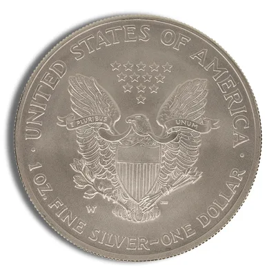 2008-W Reverse of 2007 Burnished Silver Eagle with Box & COA — packaging view