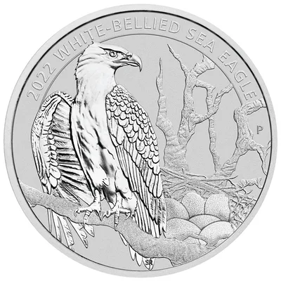 2022 1.5 oz Australian White-Bellied Sea Eagle Silver Coin — reverse view