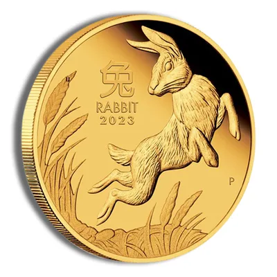 2023 1/4 oz Gold Australia Year of the Rabbit - Proof — packaging view