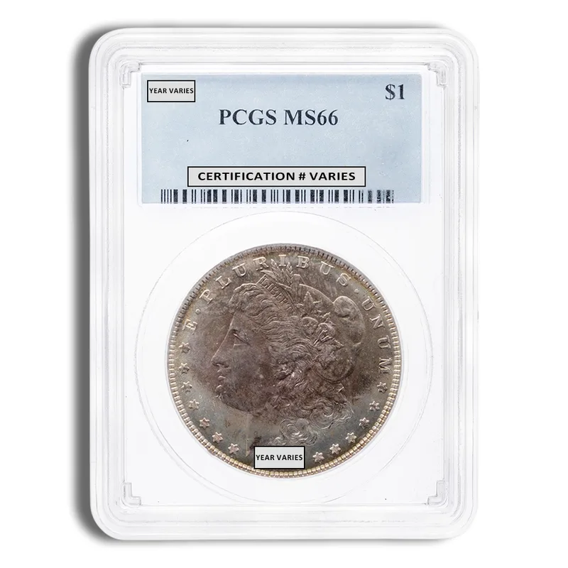 Pre-1921 Morgan Dollar - PCGS MS66 (Toned) — Silver bullion from Standard Bullion