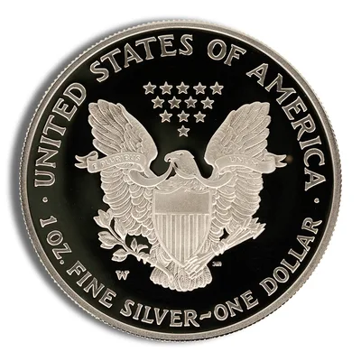 2004-W Proof Silver Eagle with Box & COA — packaging view