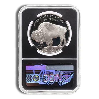2001-P <body> Silver Buffalo Commem - NGC PF69 (Black Core) — reverse view