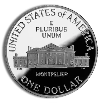 1993-D <body> Bill Rights, Madison Silver Commem - BU — reverse view