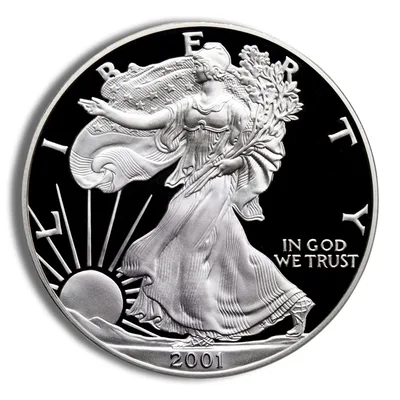2001-W Proof Silver Eagle with Box & COA — reverse view