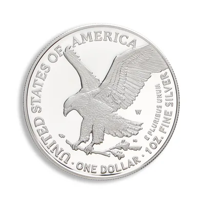 2023-W Proof Silver Eagle with Box & COA — packaging view
