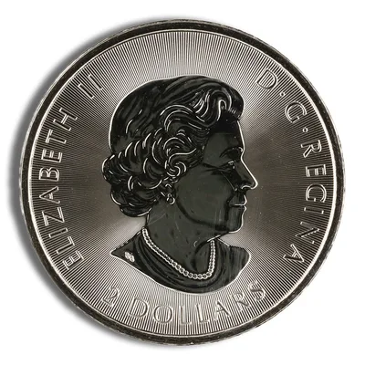 2019 1/2 oz Canadian Polar Bear Silver Coin — reverse view