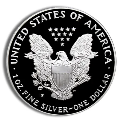 1999-P Proof Silver Eagle with Box & COA — packaging view
