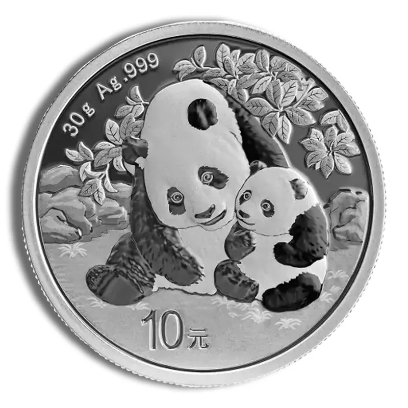2024 Chinese Silver Panda - 30 g — Silver bullion from Standard Bullion