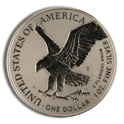 2021 American Eagle Two-Coin Silver Reverse Proof Set — detail view