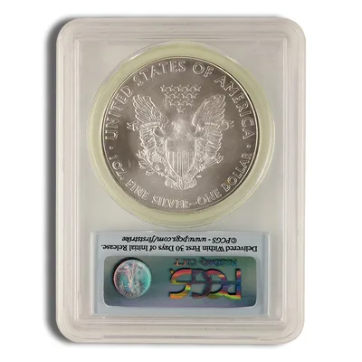 2010 Silver Eagle PCGS MS69 — reverse view