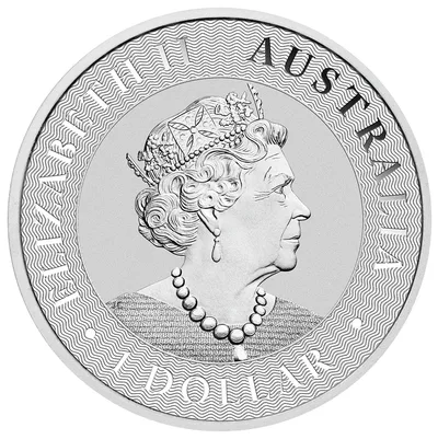 1 oz Australian Kangaroo Silver Coin (Year Varies) — reverse view