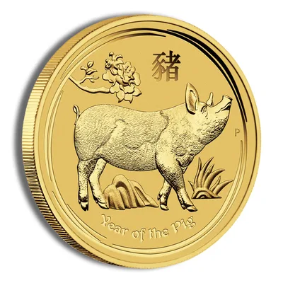 2019 1/20 oz Australia Gold Lunar Pig BU - Series II — packaging view