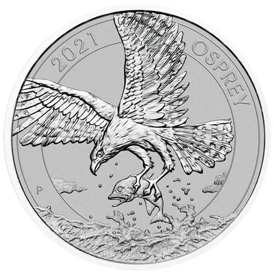 2021 1/2 oz Australian Osprey Eagle Platinum Coin — reverse view