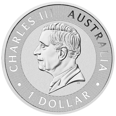 2026 1 oz Australian Kangaroo Silver Coin — reverse view